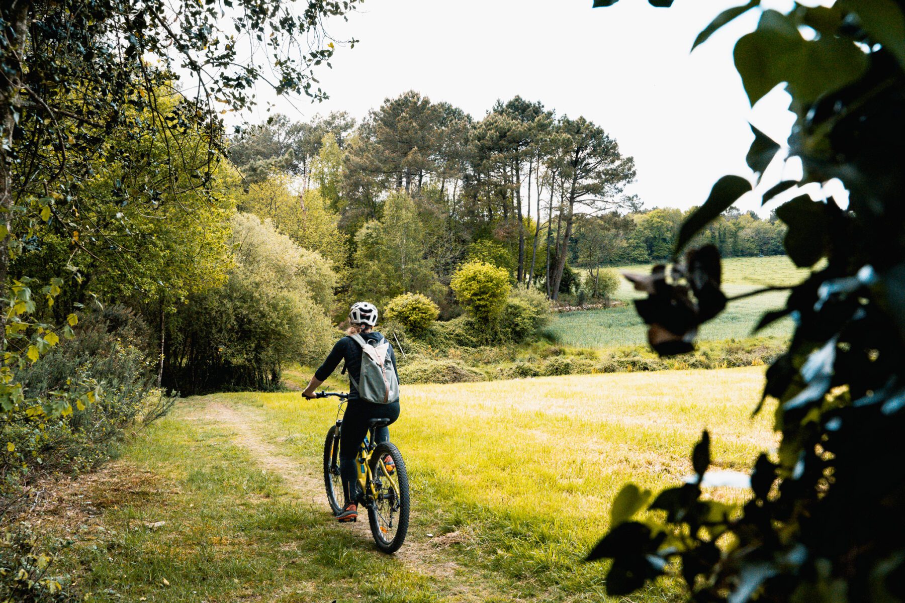 bretagne roadtrip-mtb grand-champ