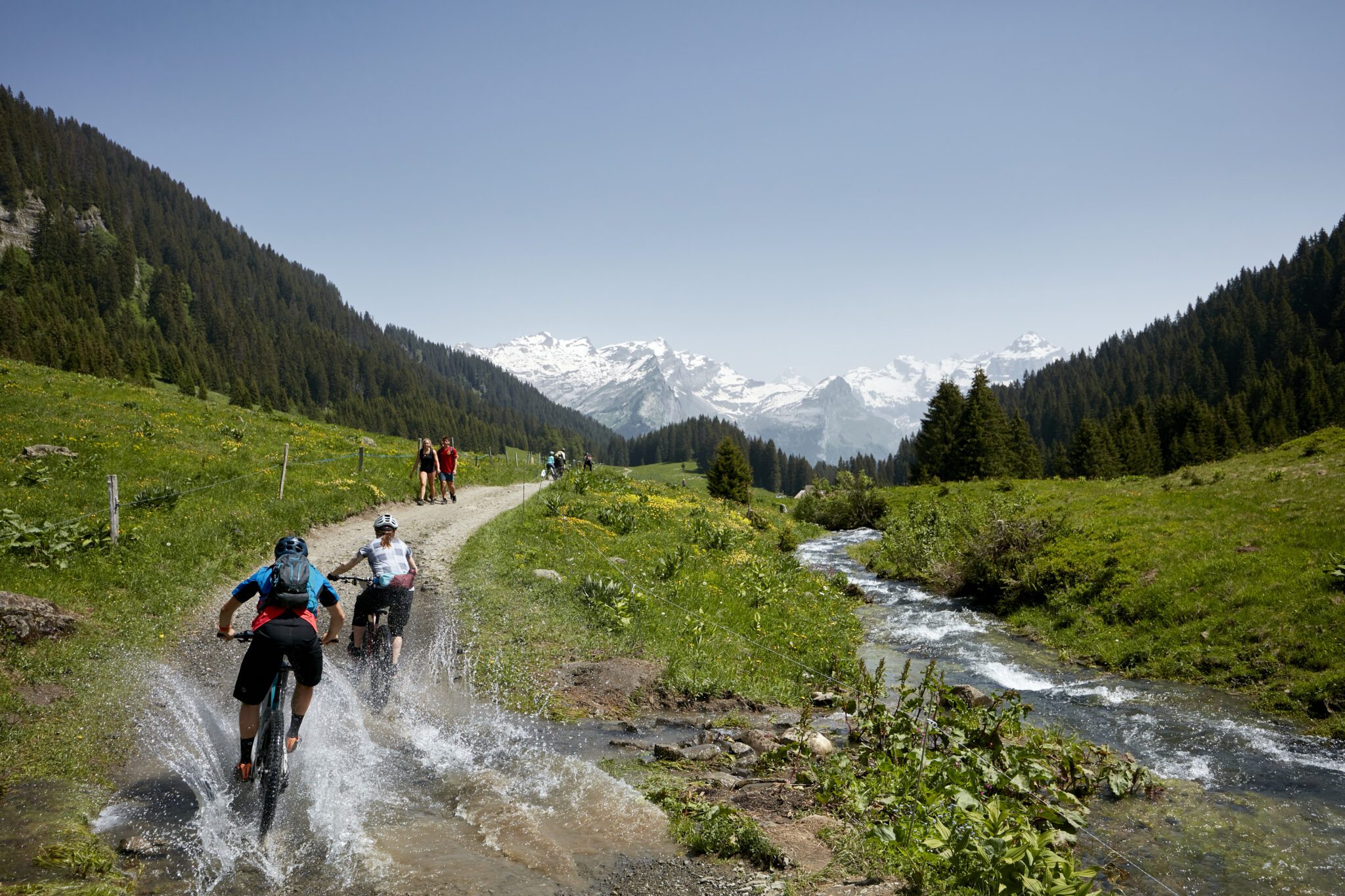 Vélo Vert Festival