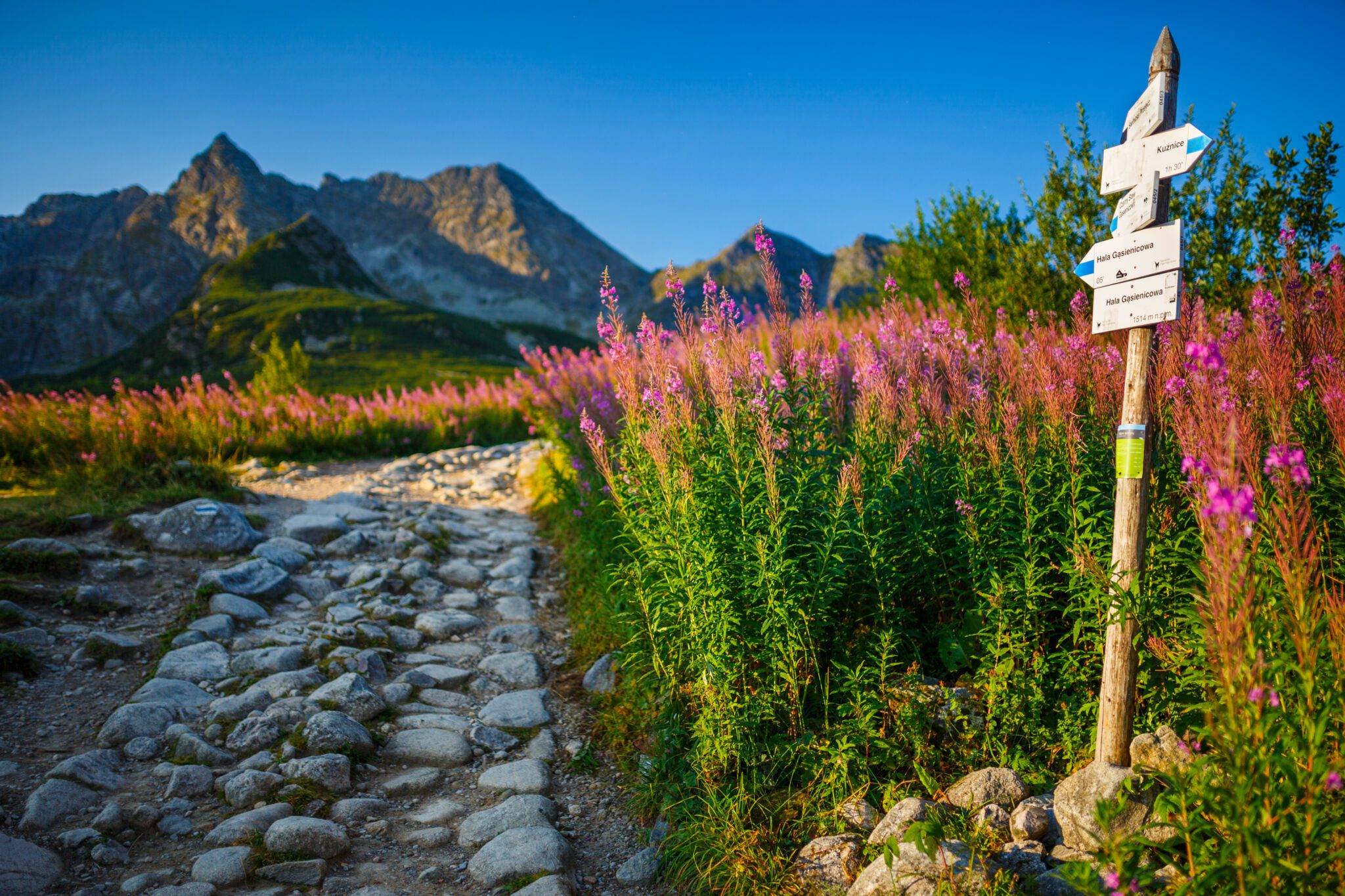 Wandelen in het Tatra gebergte Klein Polen