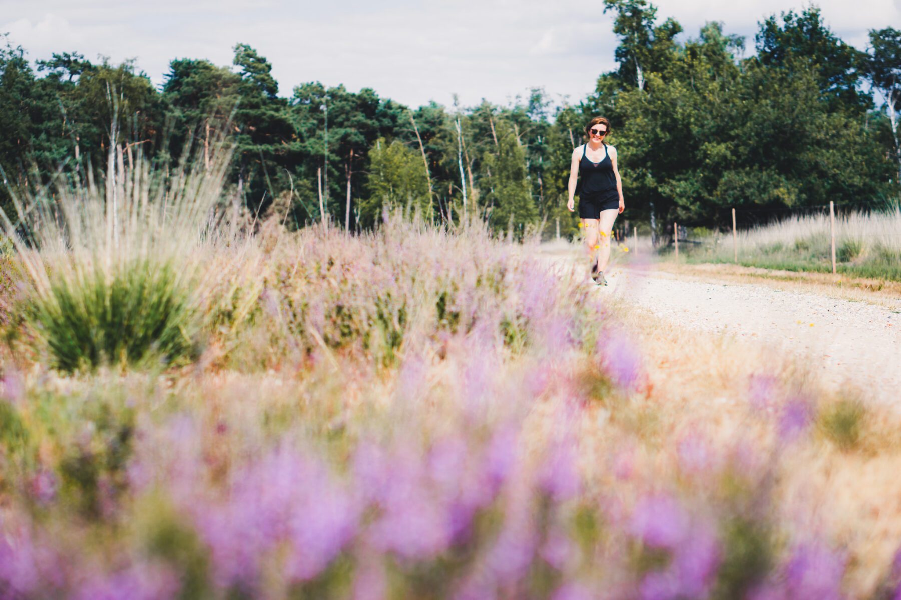 De Strabrechtse Heide-De Peel