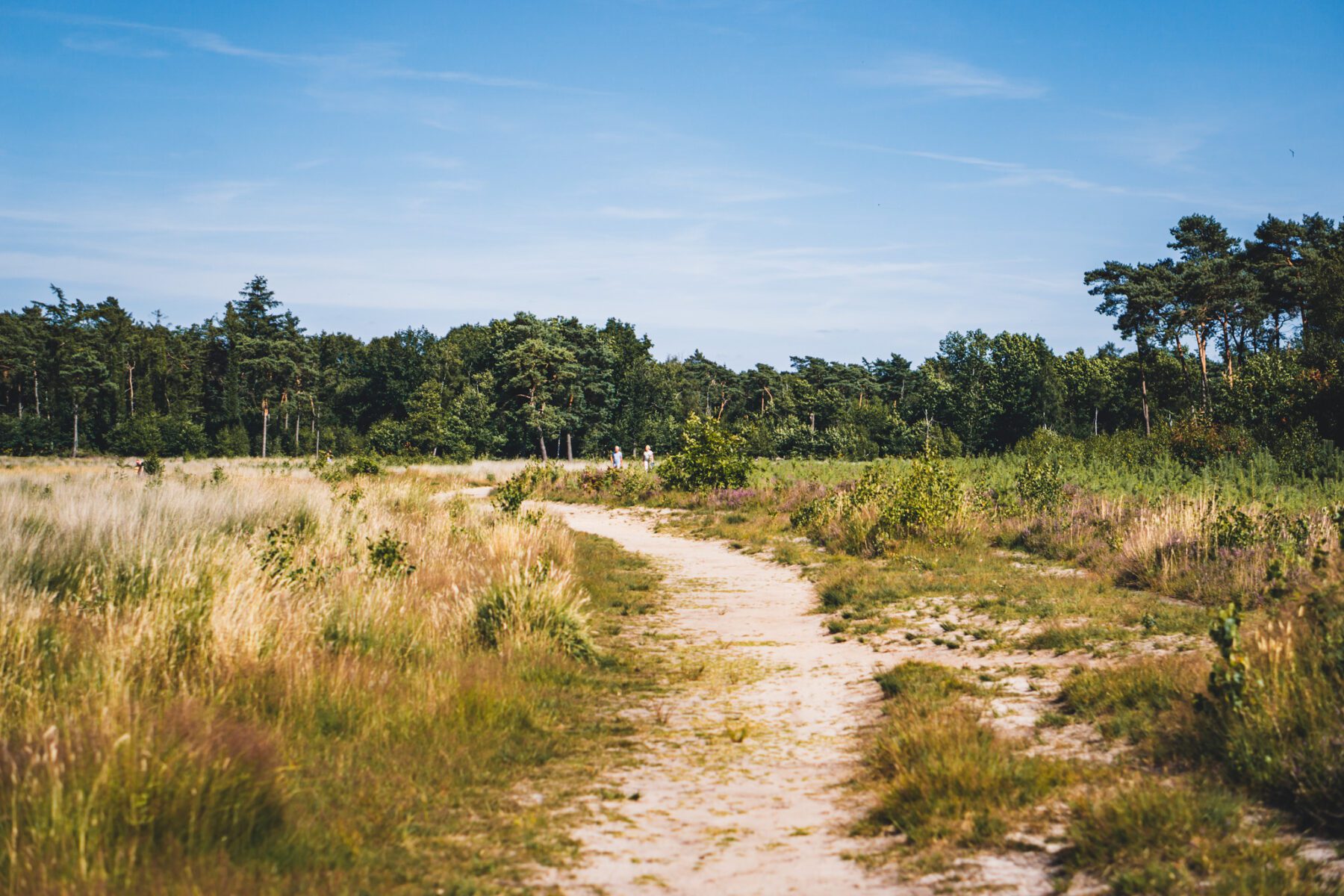 Het Zandbos en Buntven Deurne