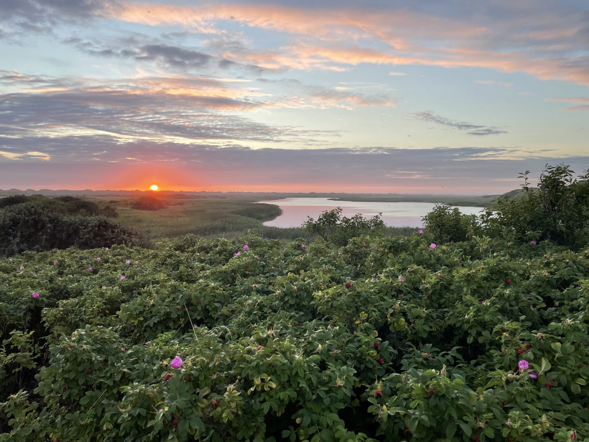 vakantie Denemarken