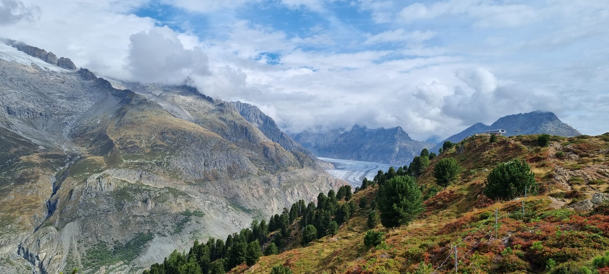 Aletsch Halbmarathon