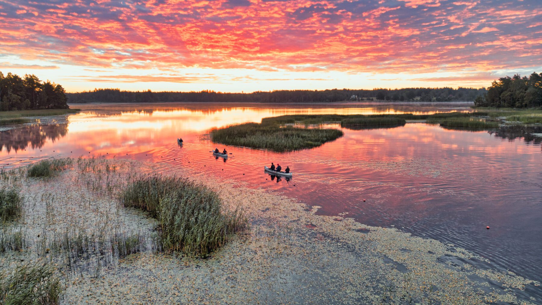 Nordic Woods sunrise canoe expeditie