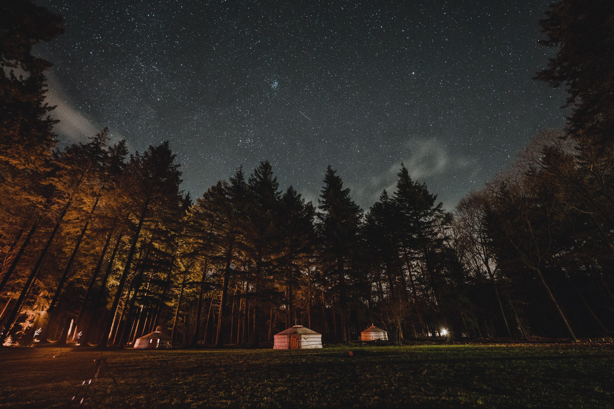 Winterwoods by night