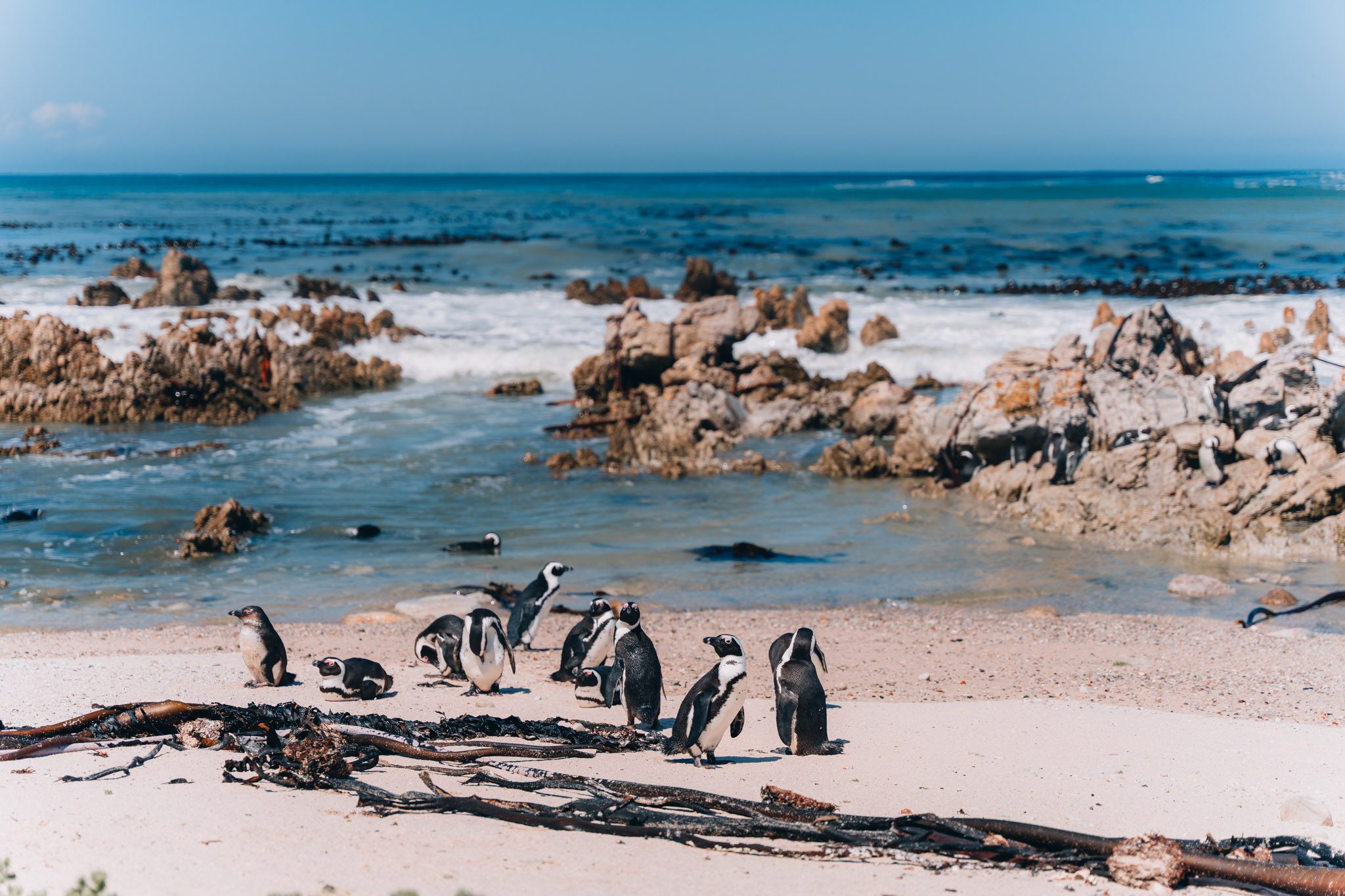 rondreis Zuid-Afrika header