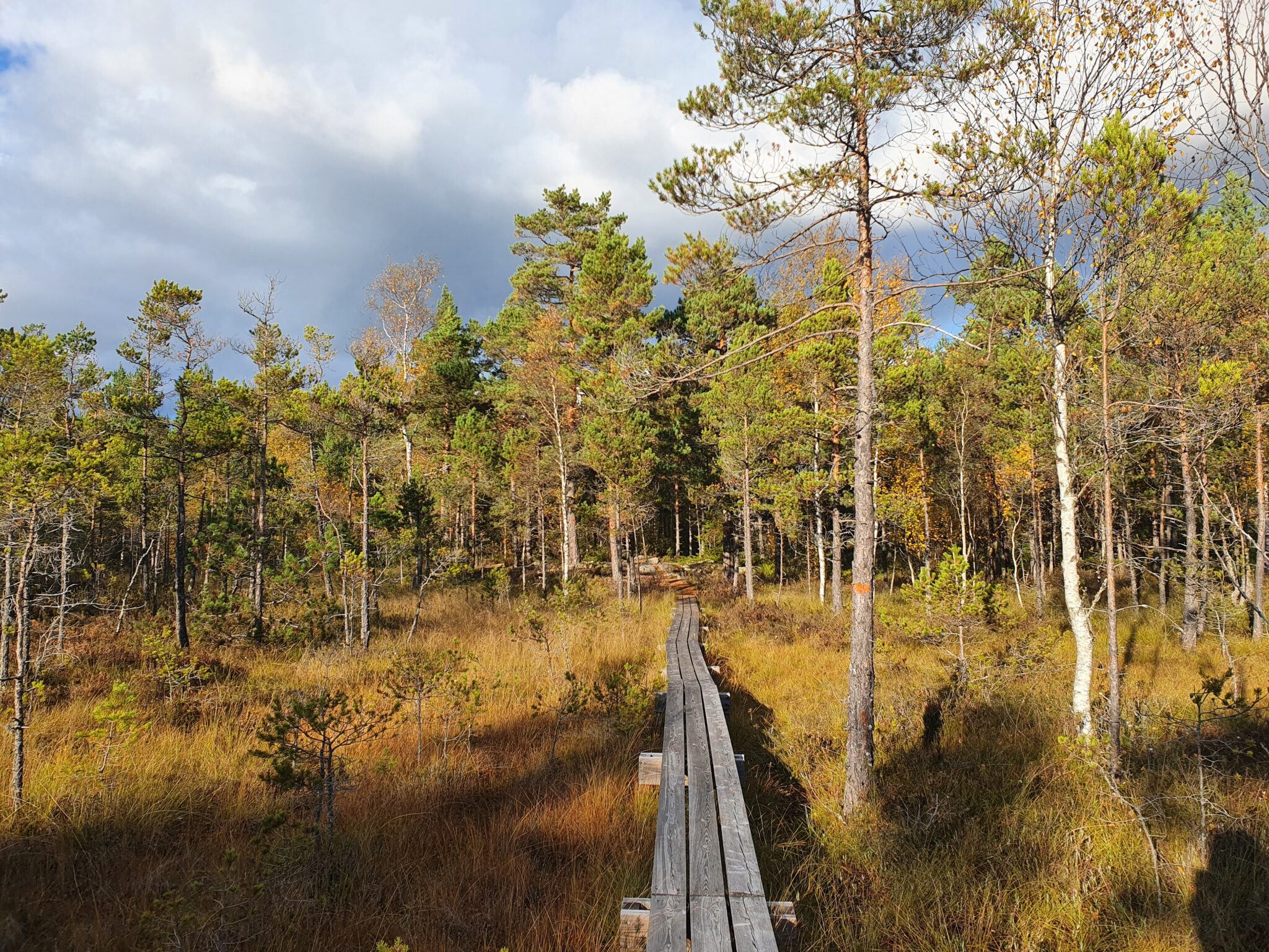 Bruksleden trail