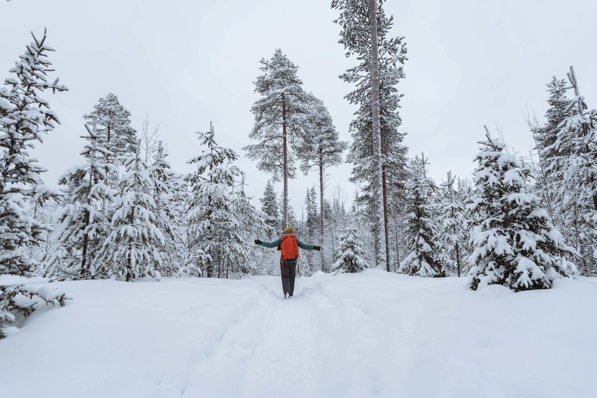 The Lapland Trail