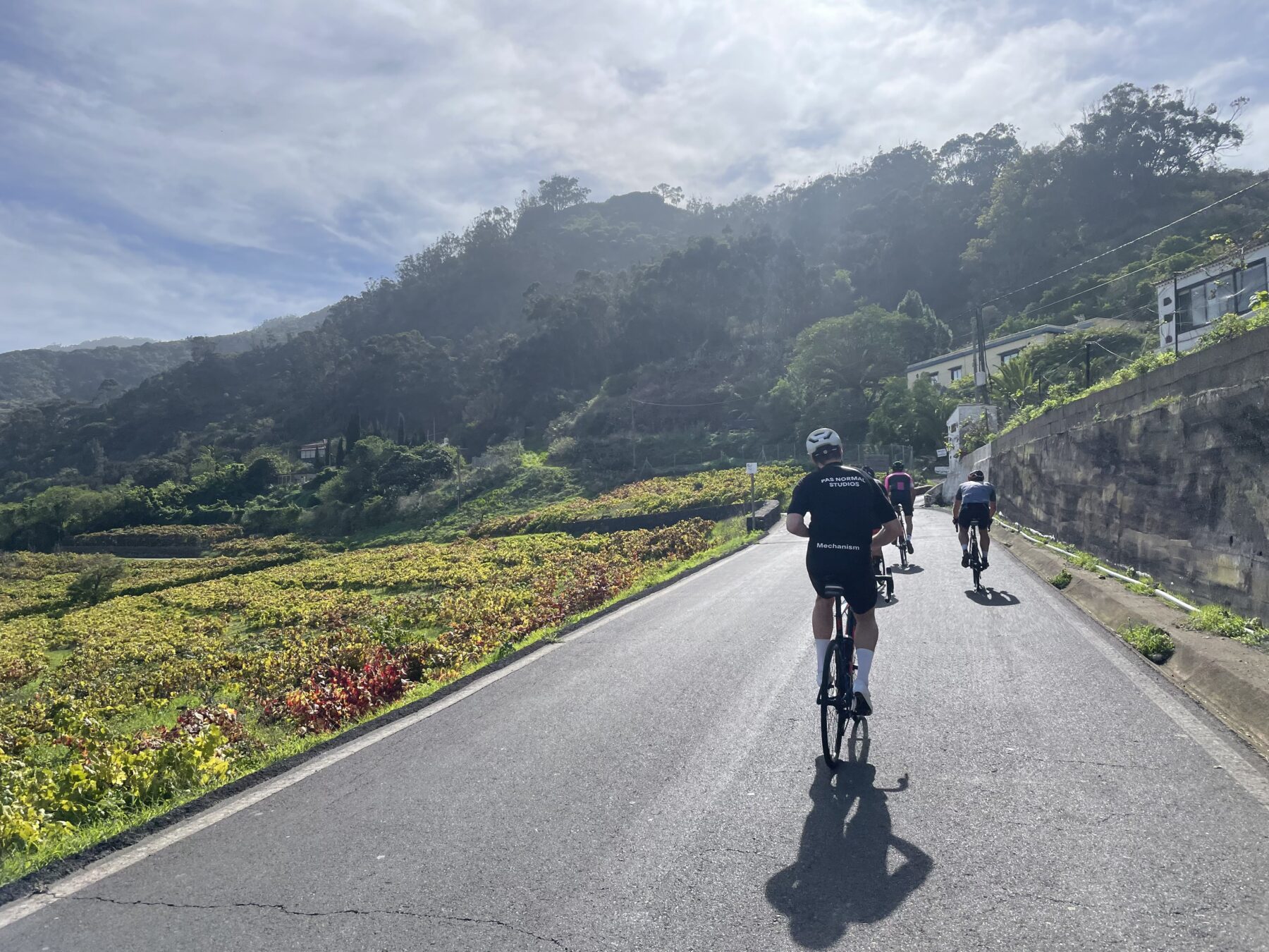 Fietsen op Tenerife tijdens de winter