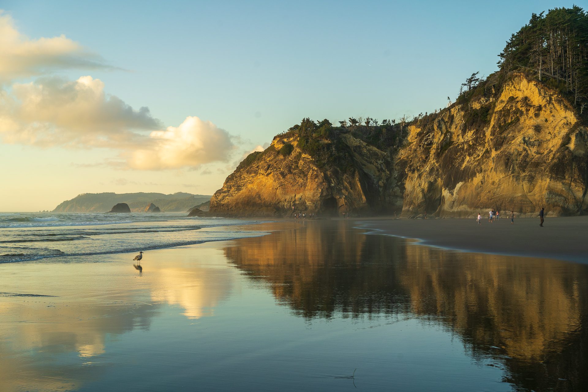 Oregon Coast Trail