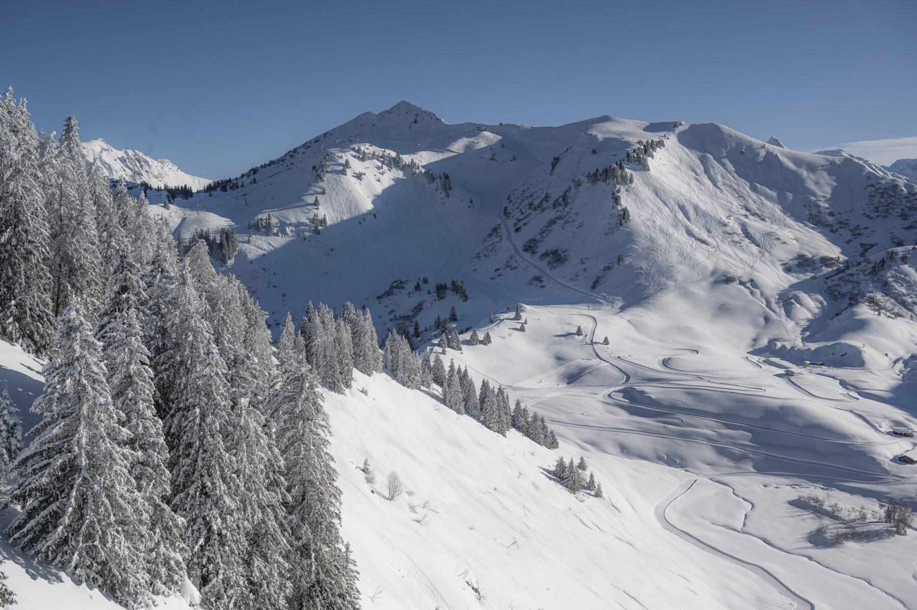 De beboste bergen van Portes du soleil