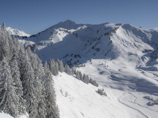 De beboste bergen van Portes du soleil