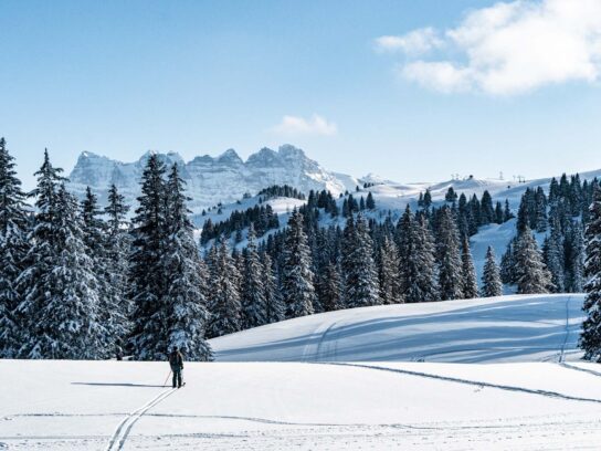 toerski alpen duurzaamheid chatel les gets