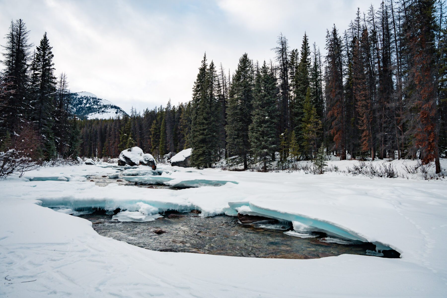 Jasper National Park in de winter Maligne Lake