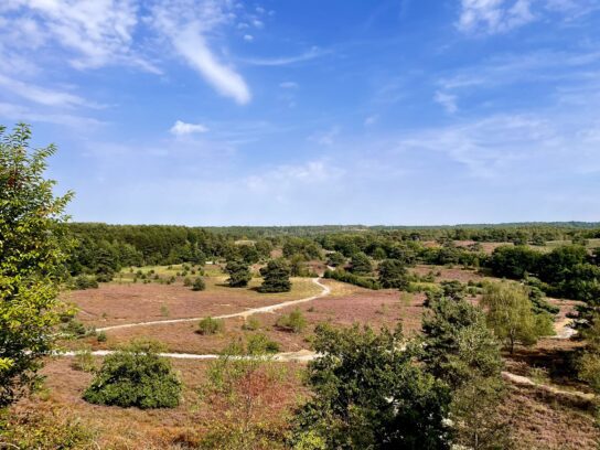 Uitzicht over de Brunssummerheide