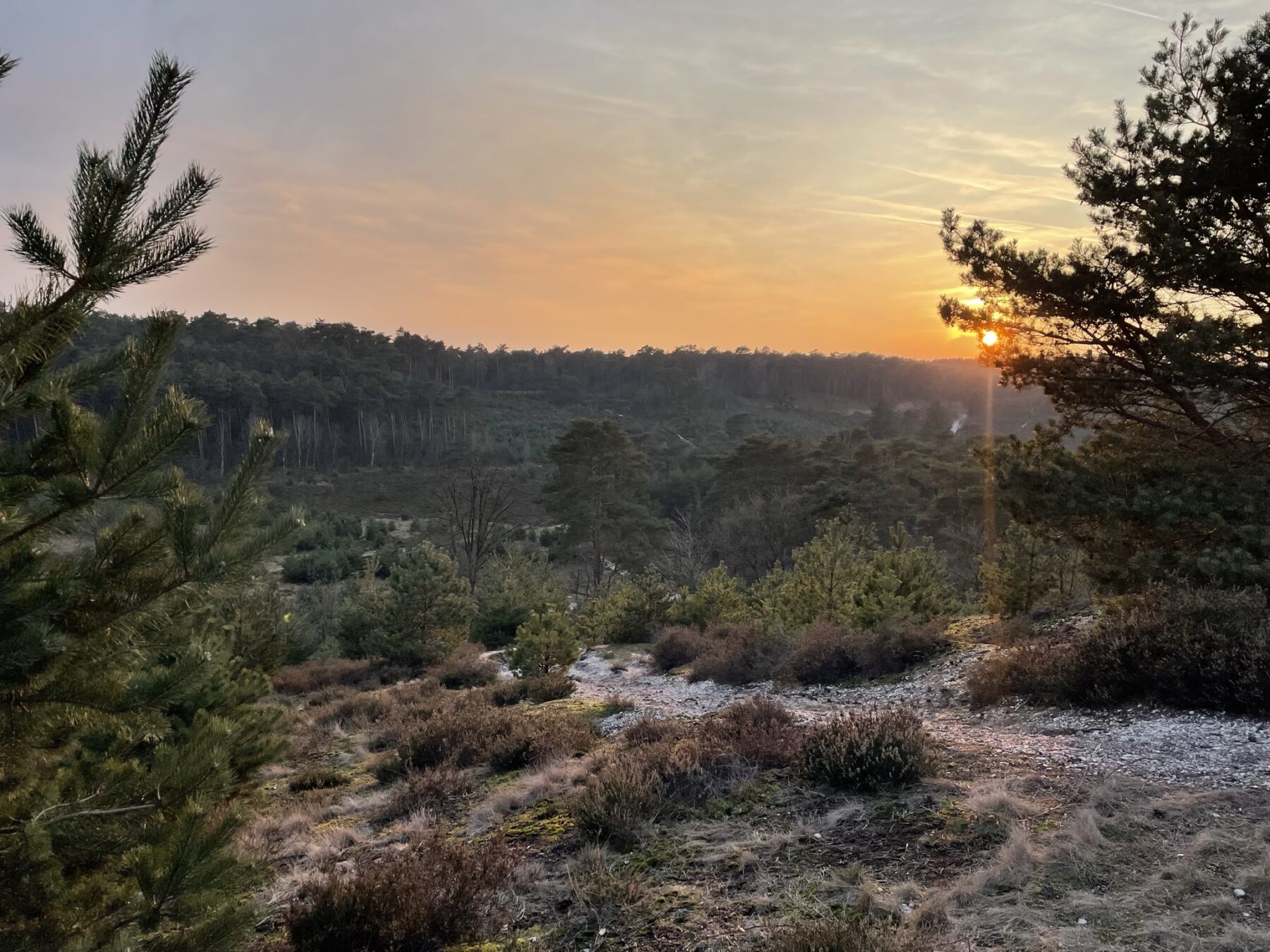 Brunsummerheide