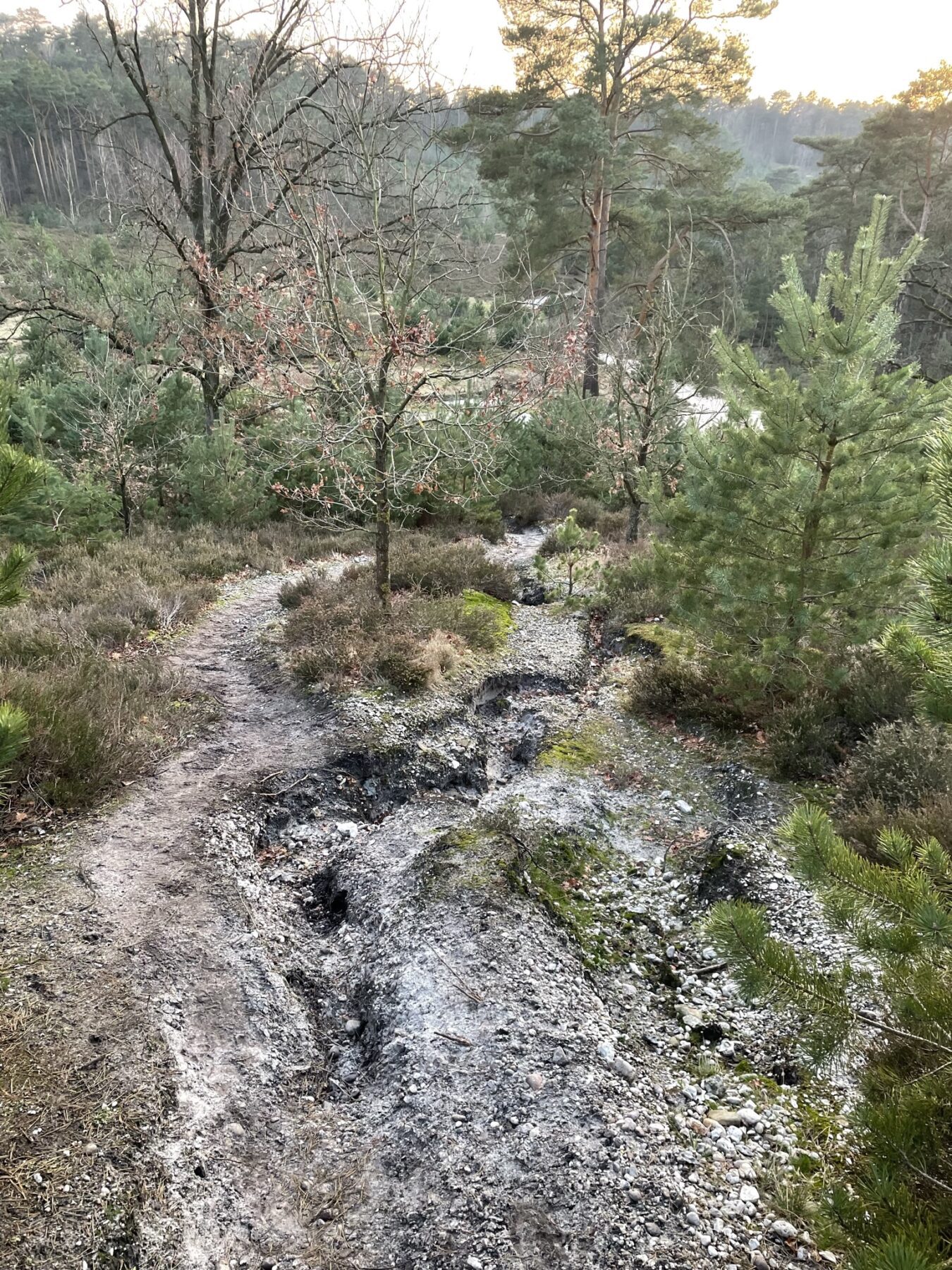 Brunsummerheide afdaling