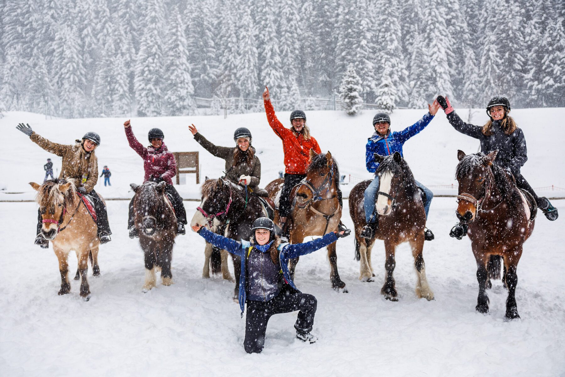 paarden in de sneeuw