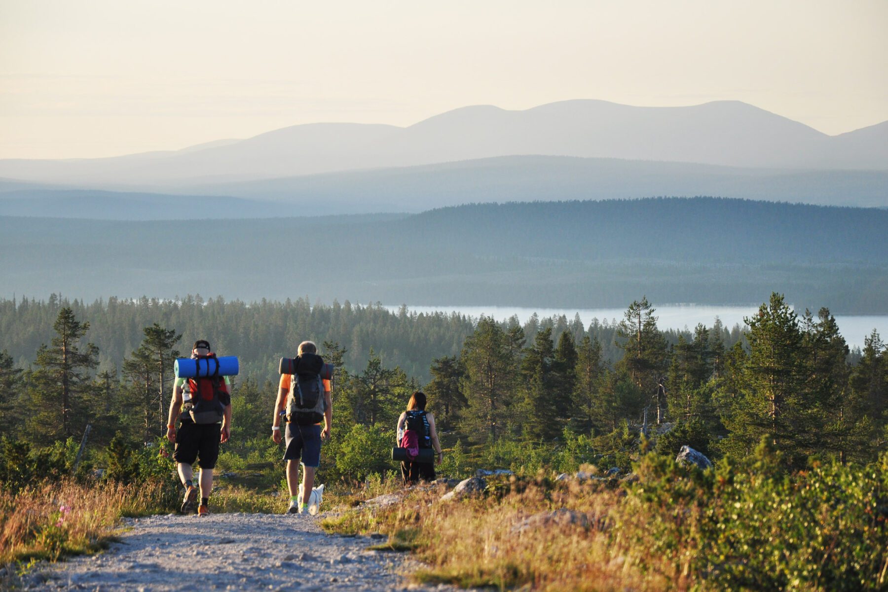 Wandelen in Lapland in de zomer