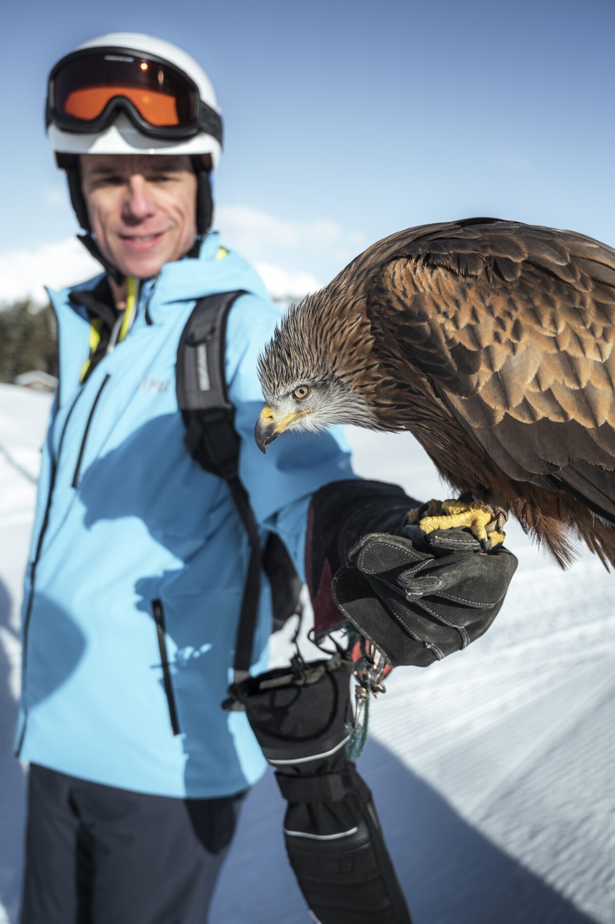 Roofvogels spotten bij Morzine