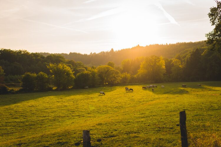 Ardennen