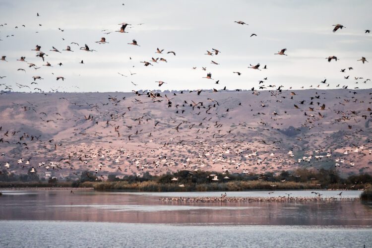 Israël - foto van Linda Richter