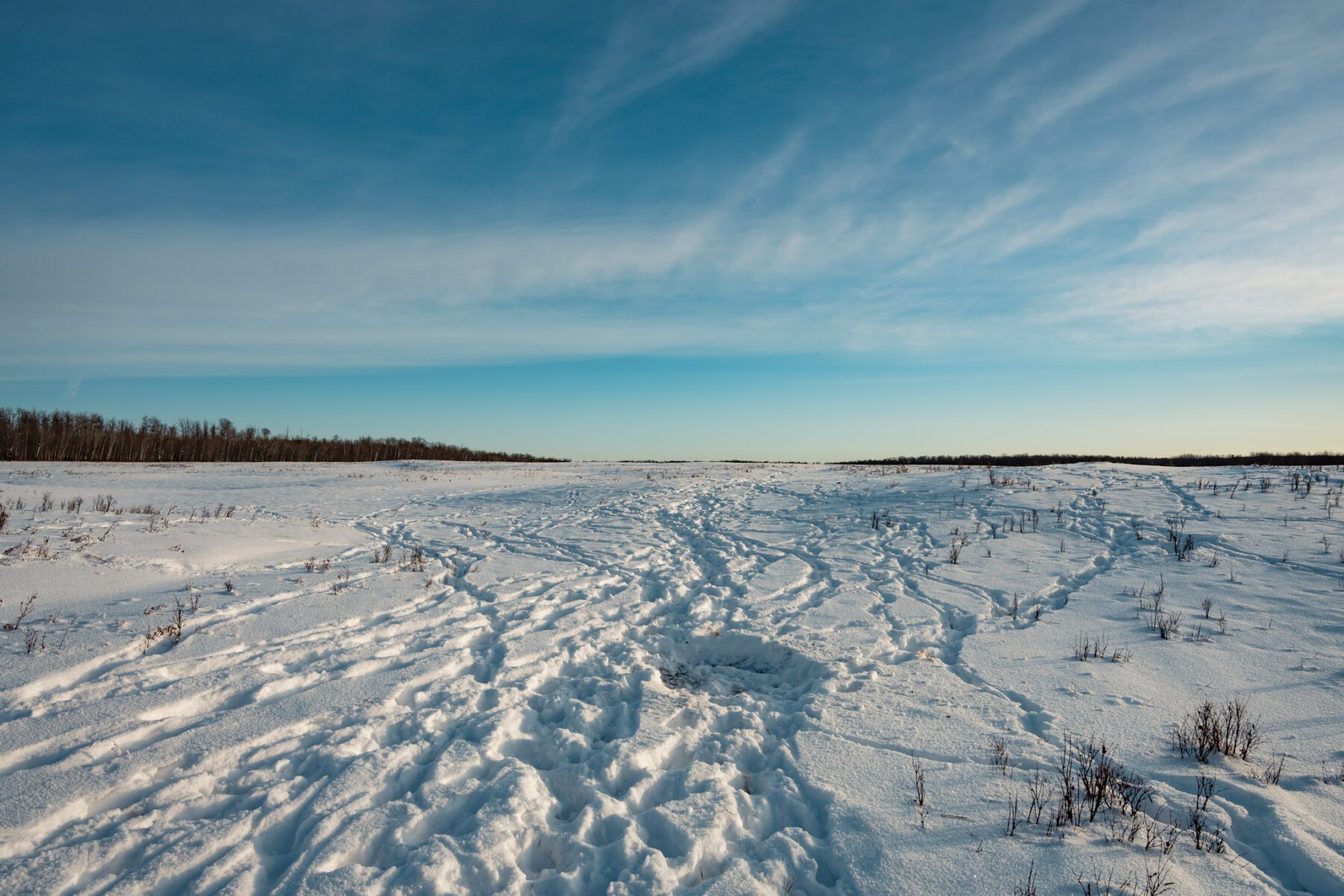 Elk Island