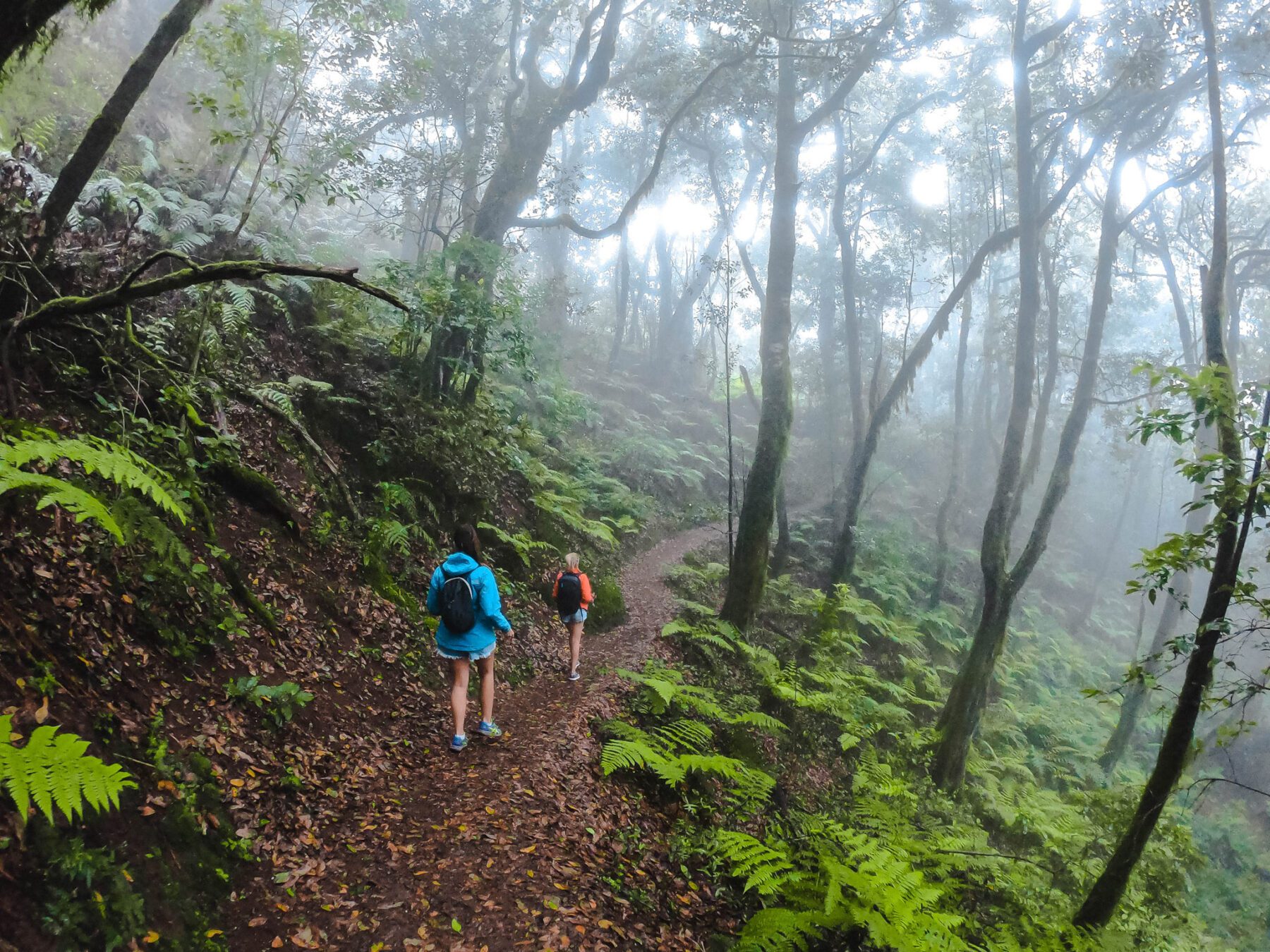 wandelen op La Gomera