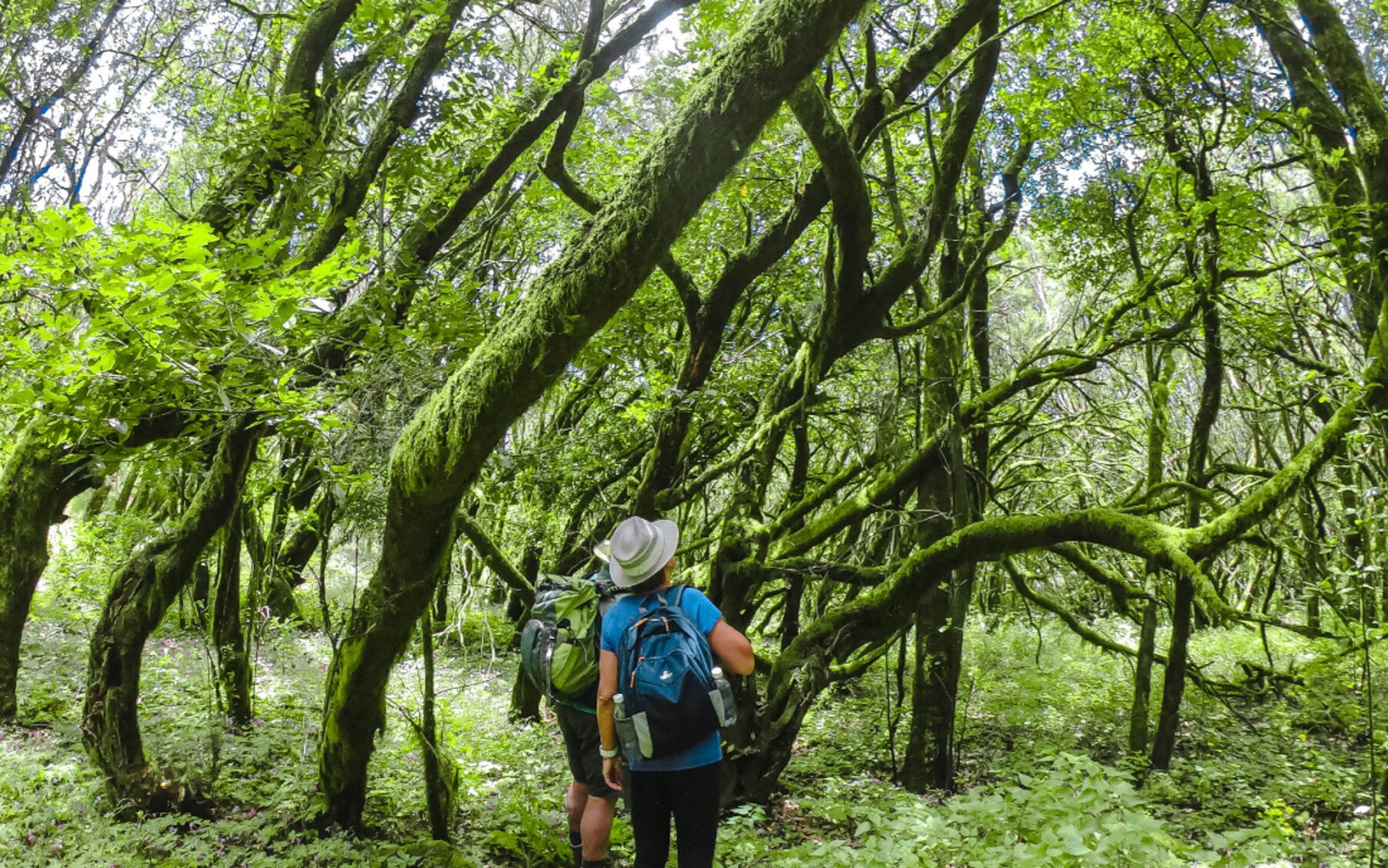 La Gomera nationaal park