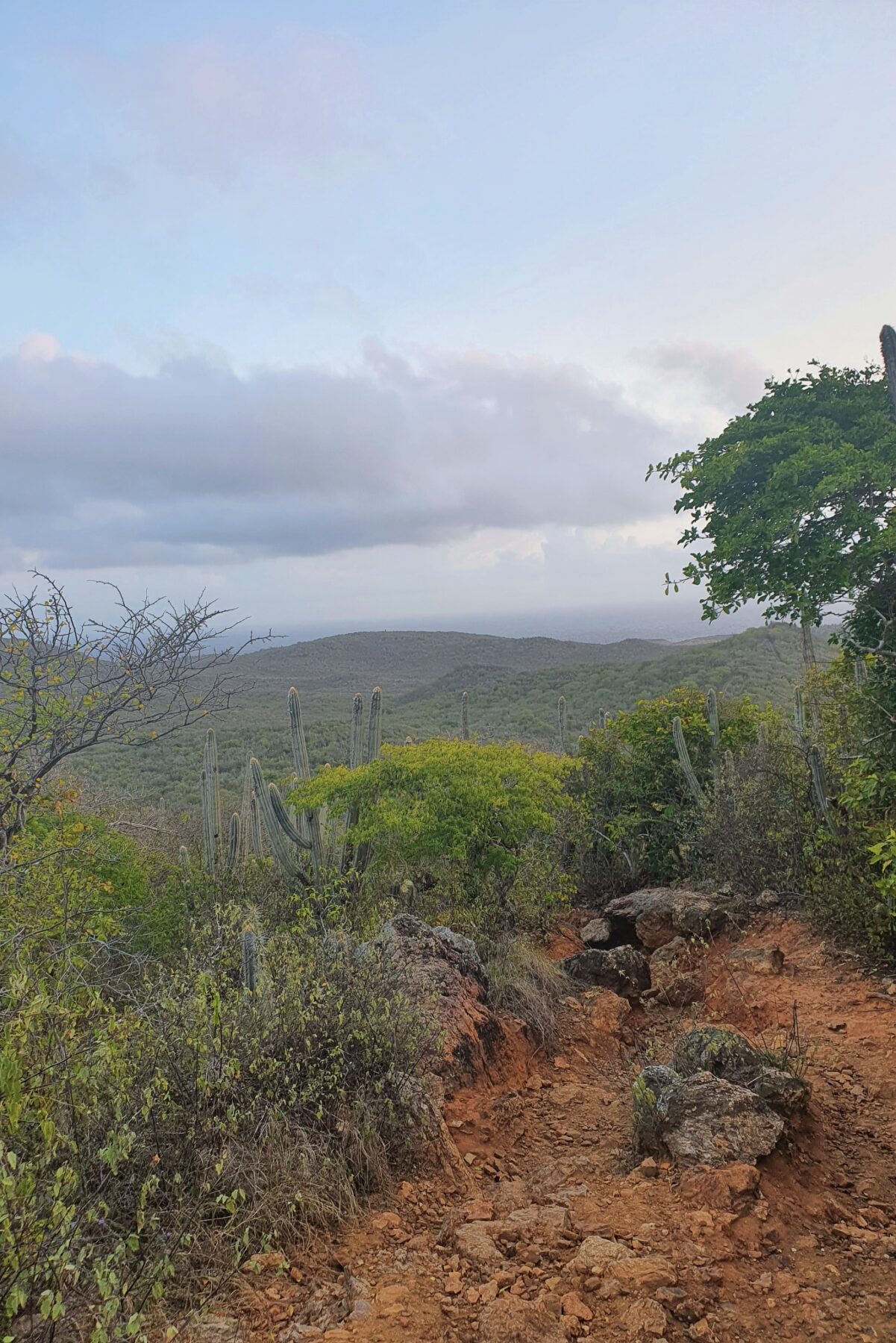 De Christoffelberg beklimmen tijdens een actieve vakantie op Curaçao