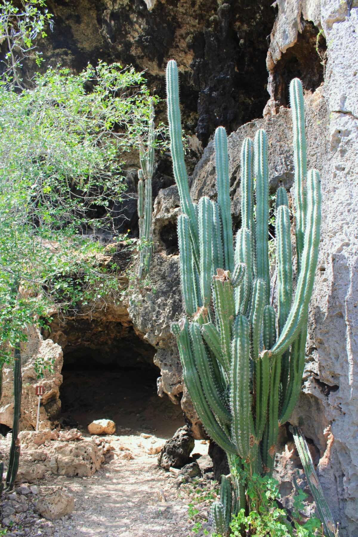 De Indian Trail bij de Hato Caves .