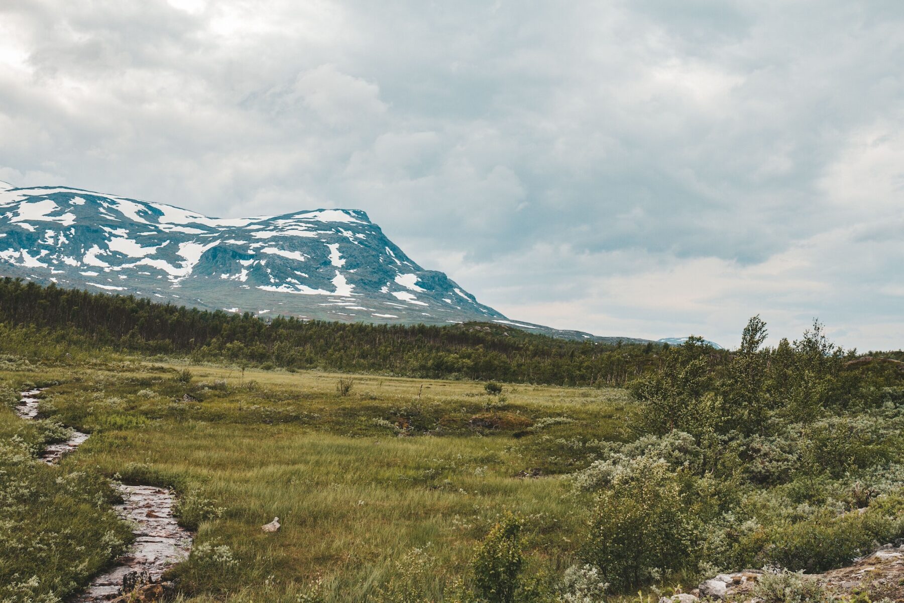 Scandinavië