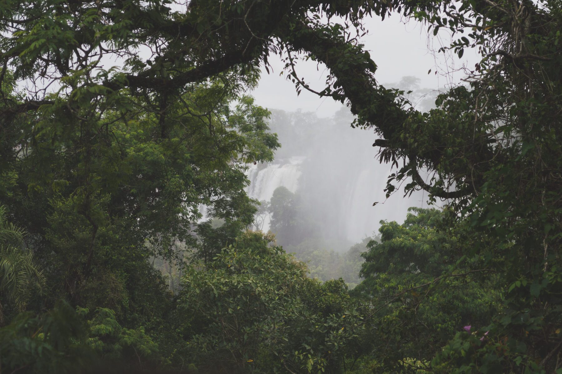 Iguazú Falls in Argentinië