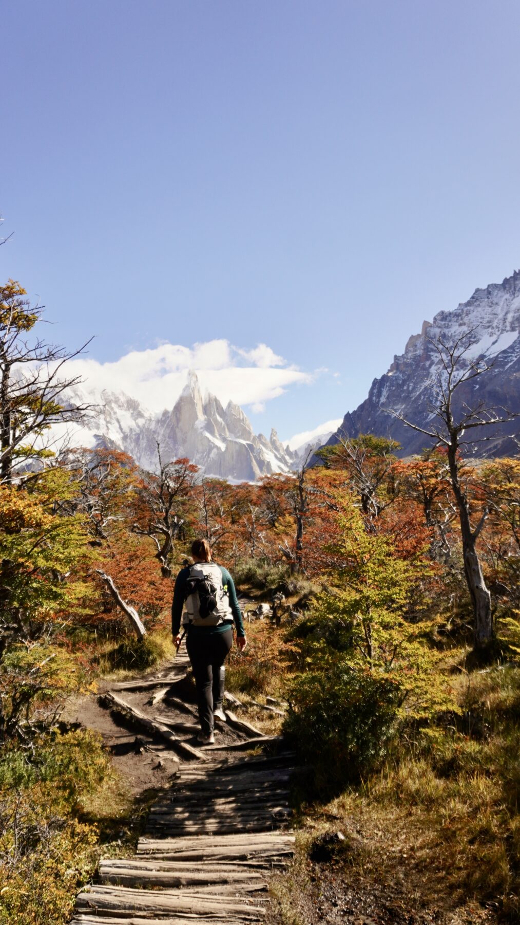 Laguna Torre El Chaltén