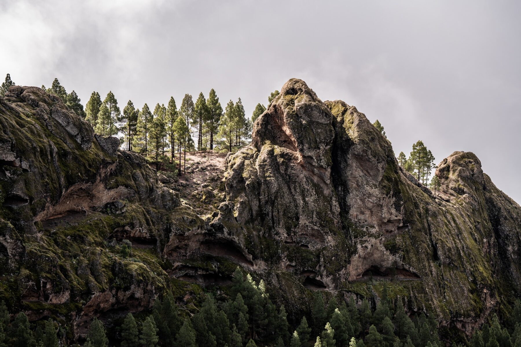 De wisselende omgevingen tijdens de Transgrancanaria maken deze ultramarathon een spektakel om te rennen.