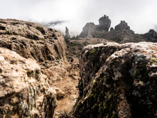 De Transgrancanaria Classic is een van de klassieke ultramarathons van Europa