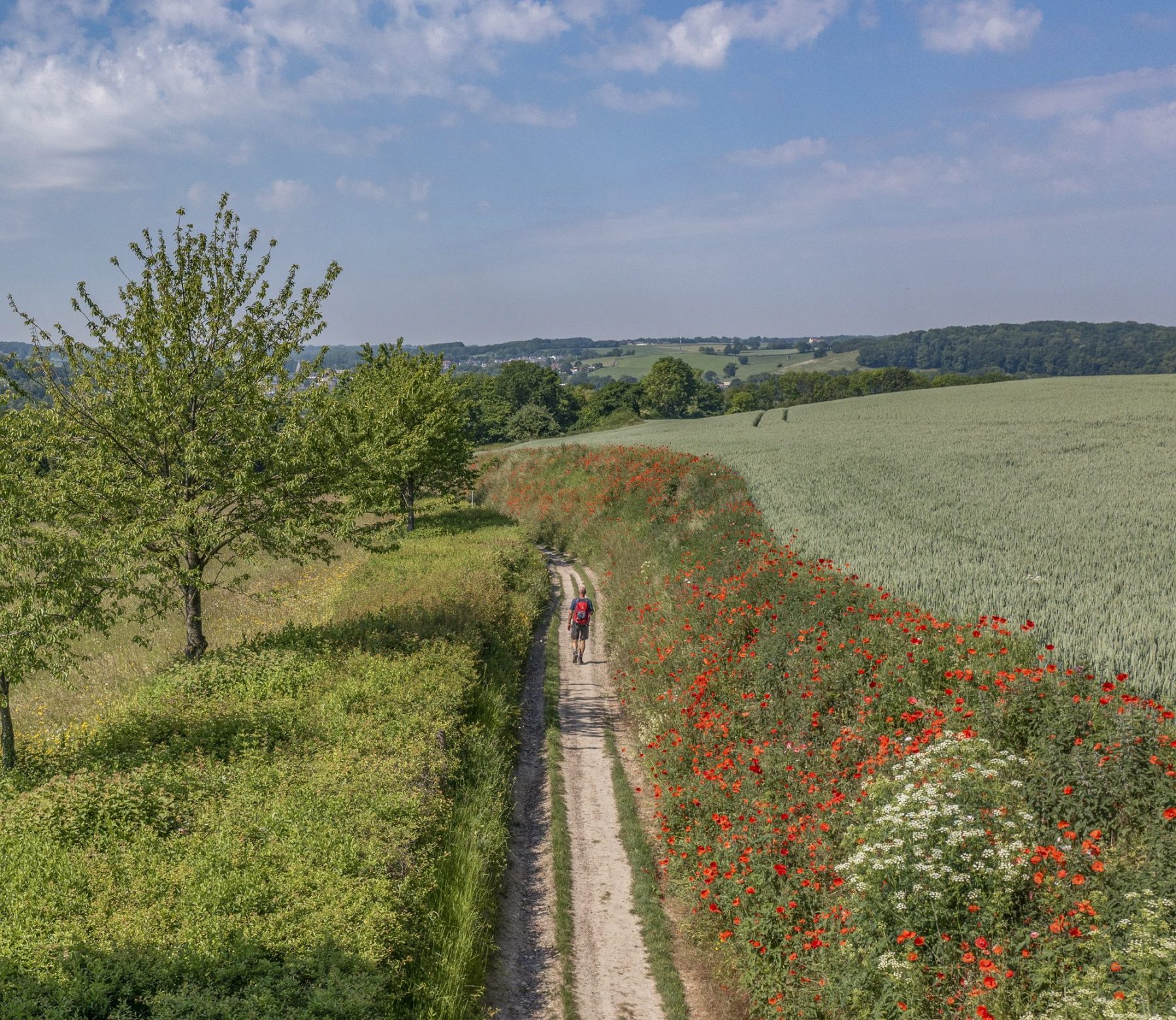 Wandelen in Zuid-Limburg: op deze plekken moet je zijn geweest