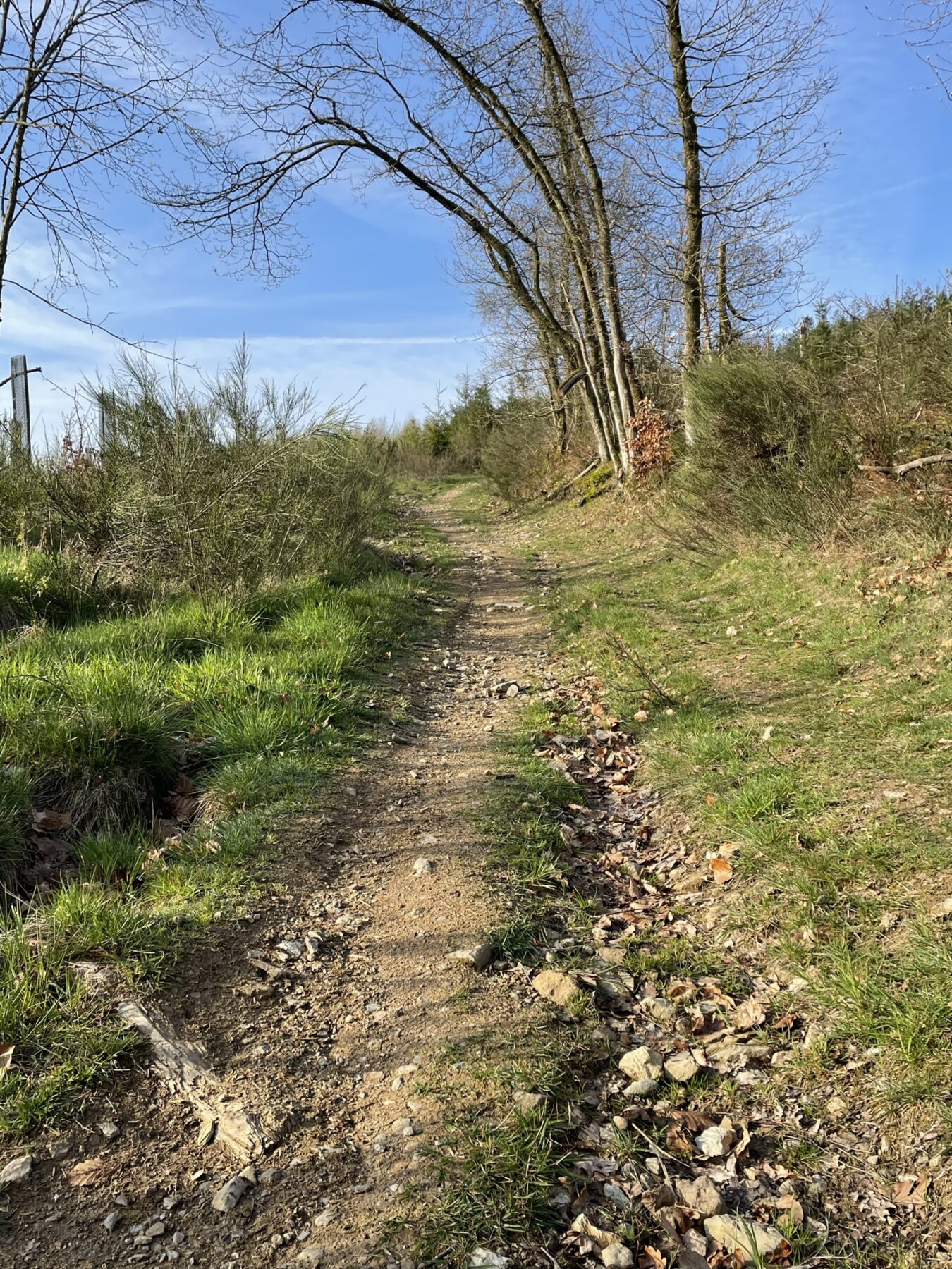 Extratrail Stavelot - Klimmen