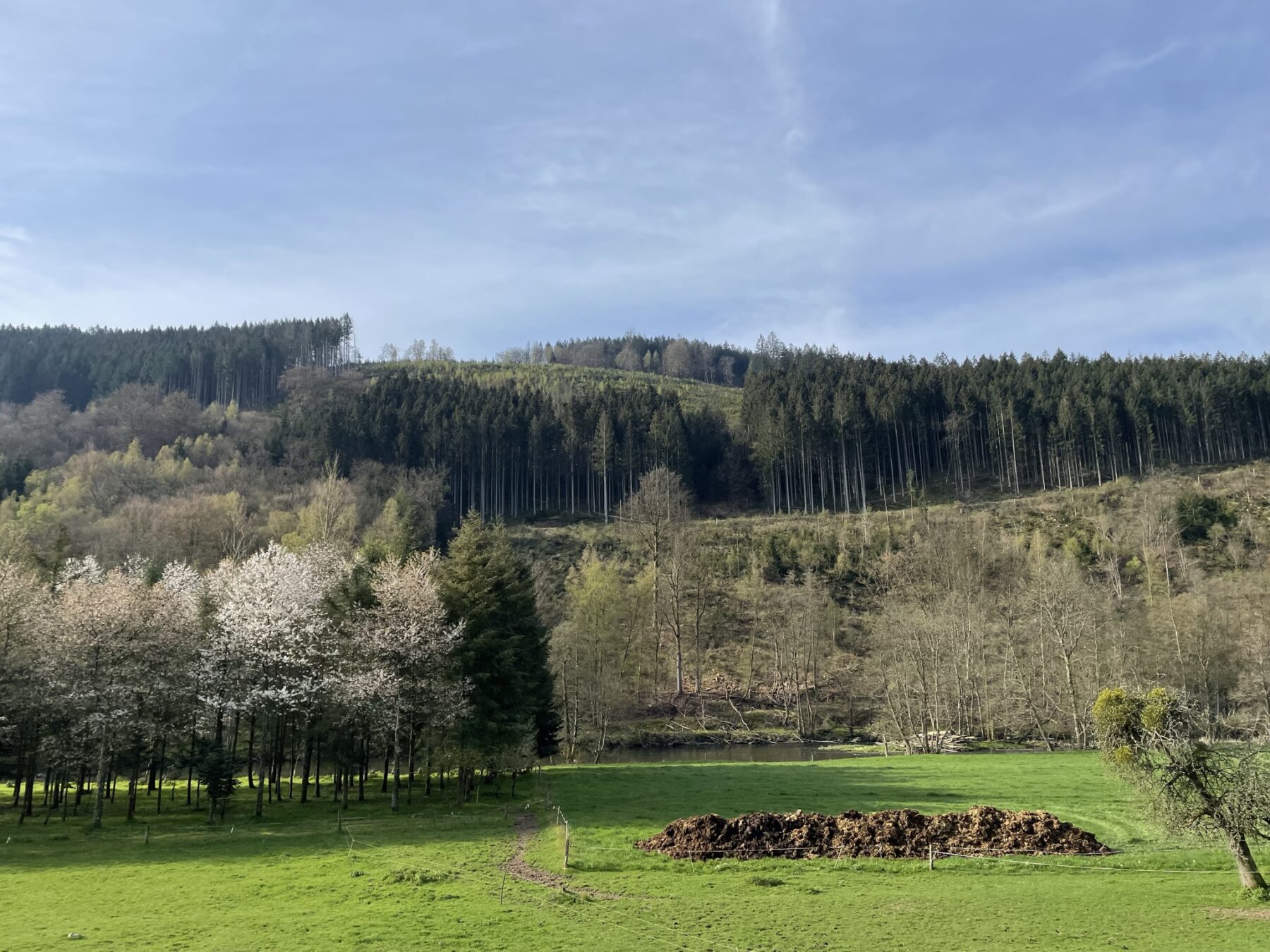 Uitzicht op de heuvels