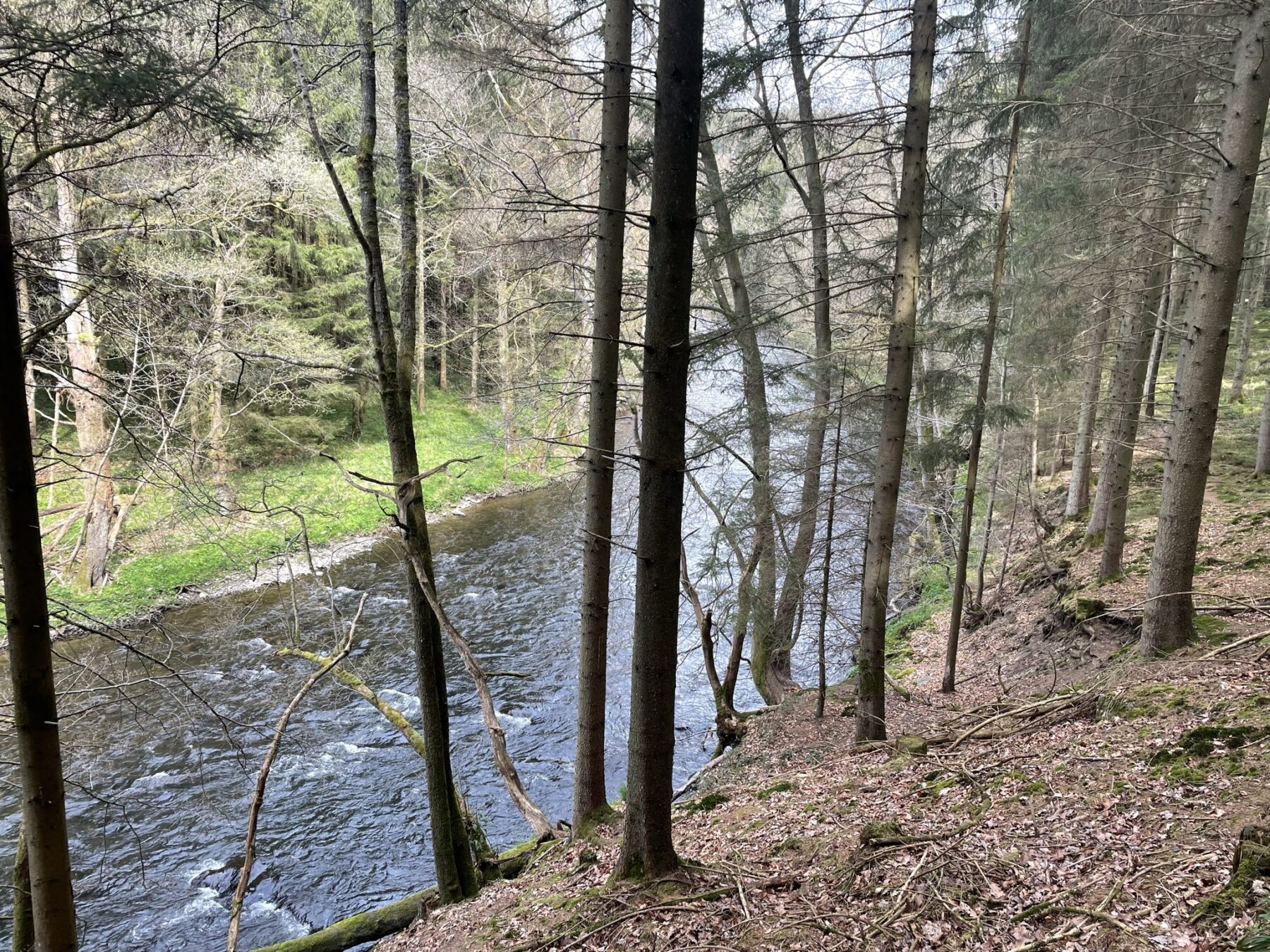 Extratrail Stavelot - Langs de Amblève