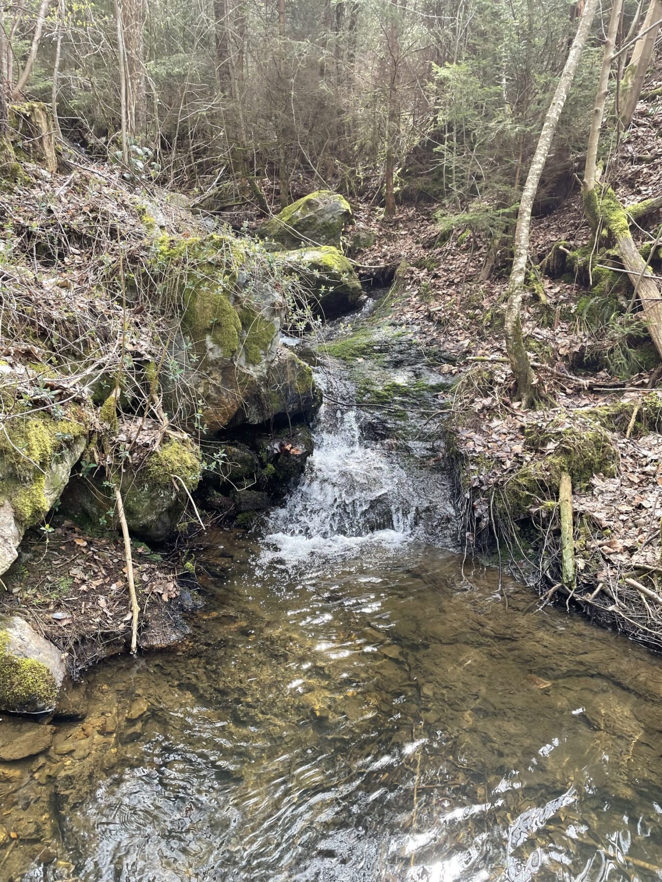 Extratrail Stavelot - Le Magéru