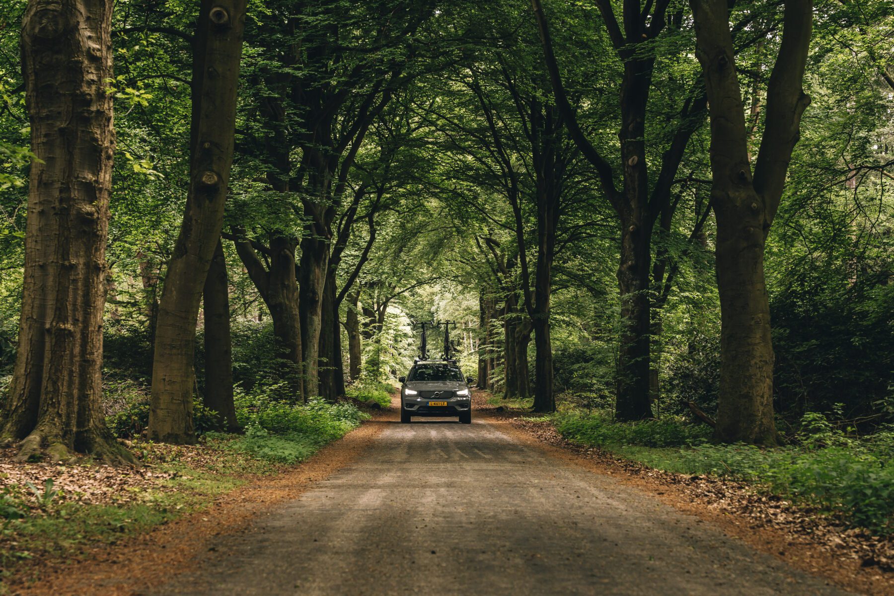 Volvo XC40 Recharge Twin Engine over een bospad