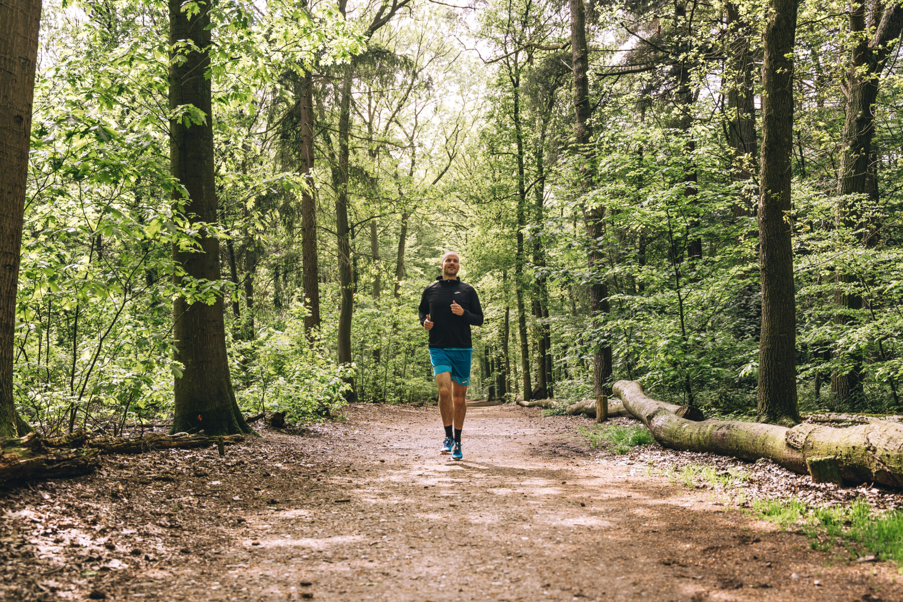 Brooks Catamount 2 trailrunnen in het bos