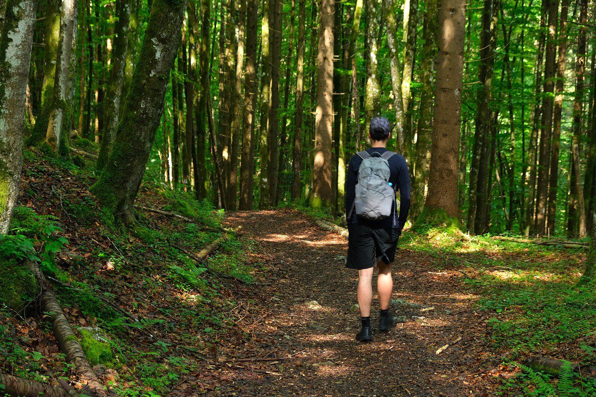 Wie op vakantie is in Oberaudorf, moet zeker overwegen om één van de vele wandelpaden in het bos te verkennen.