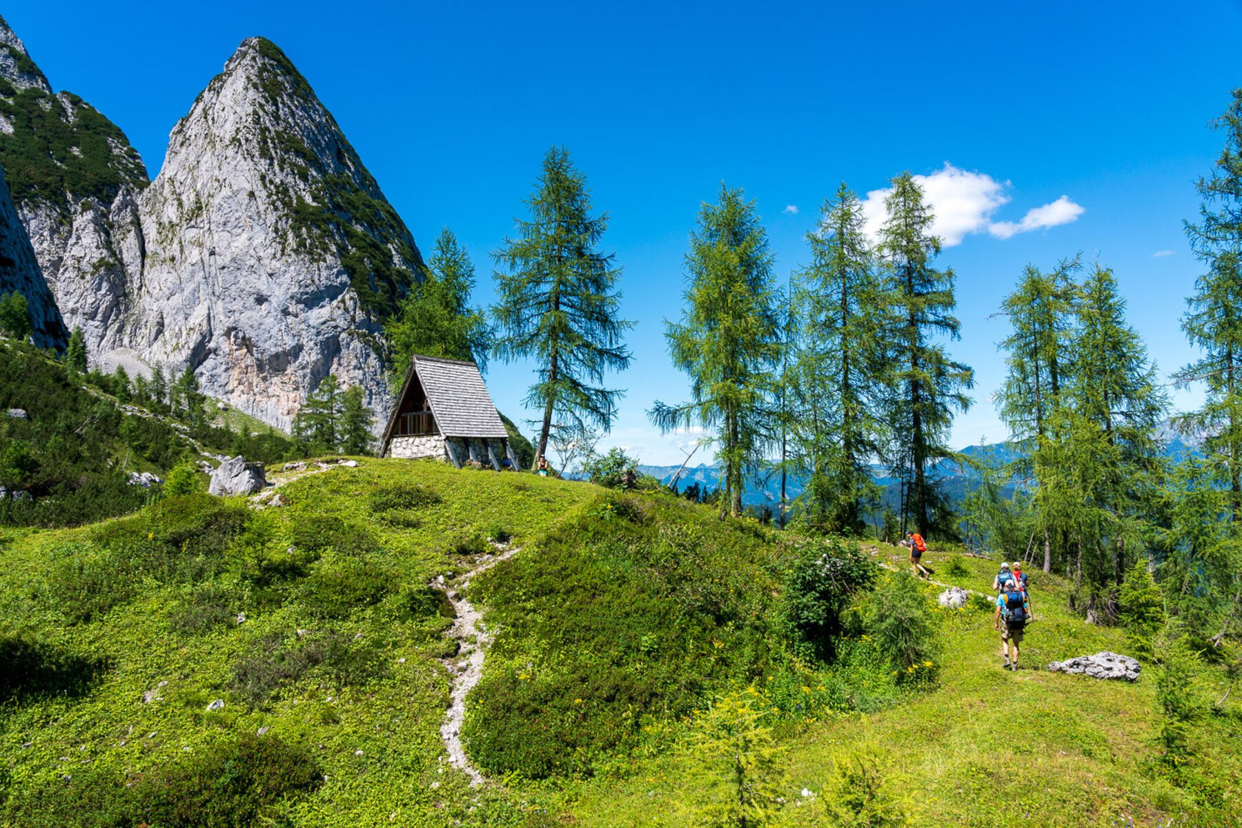 De Dachstein in de zomer met SNP Natuurreizen