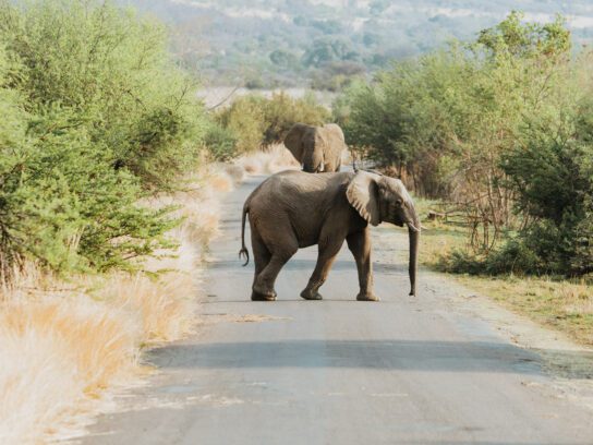 Bikepacken in een ander continent