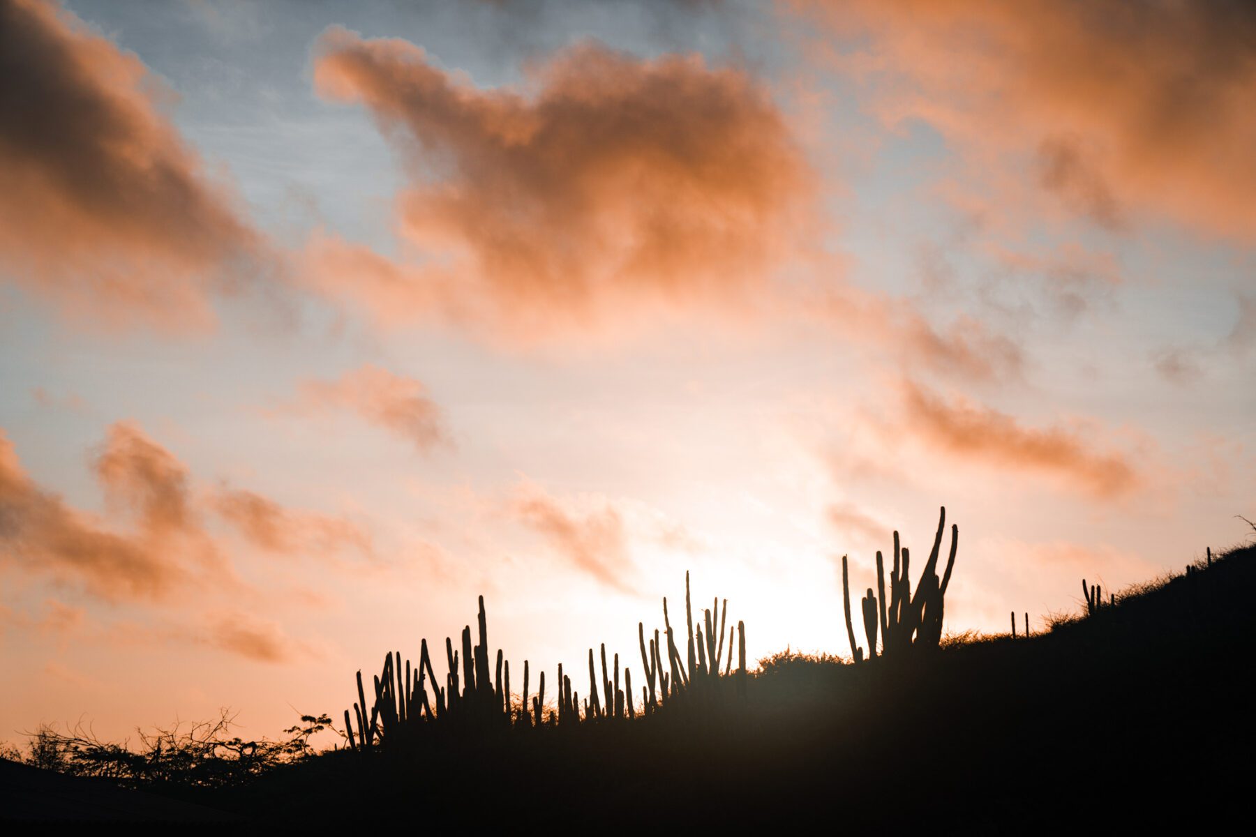 Zonsopkomst met cactussen Arikok National Park 