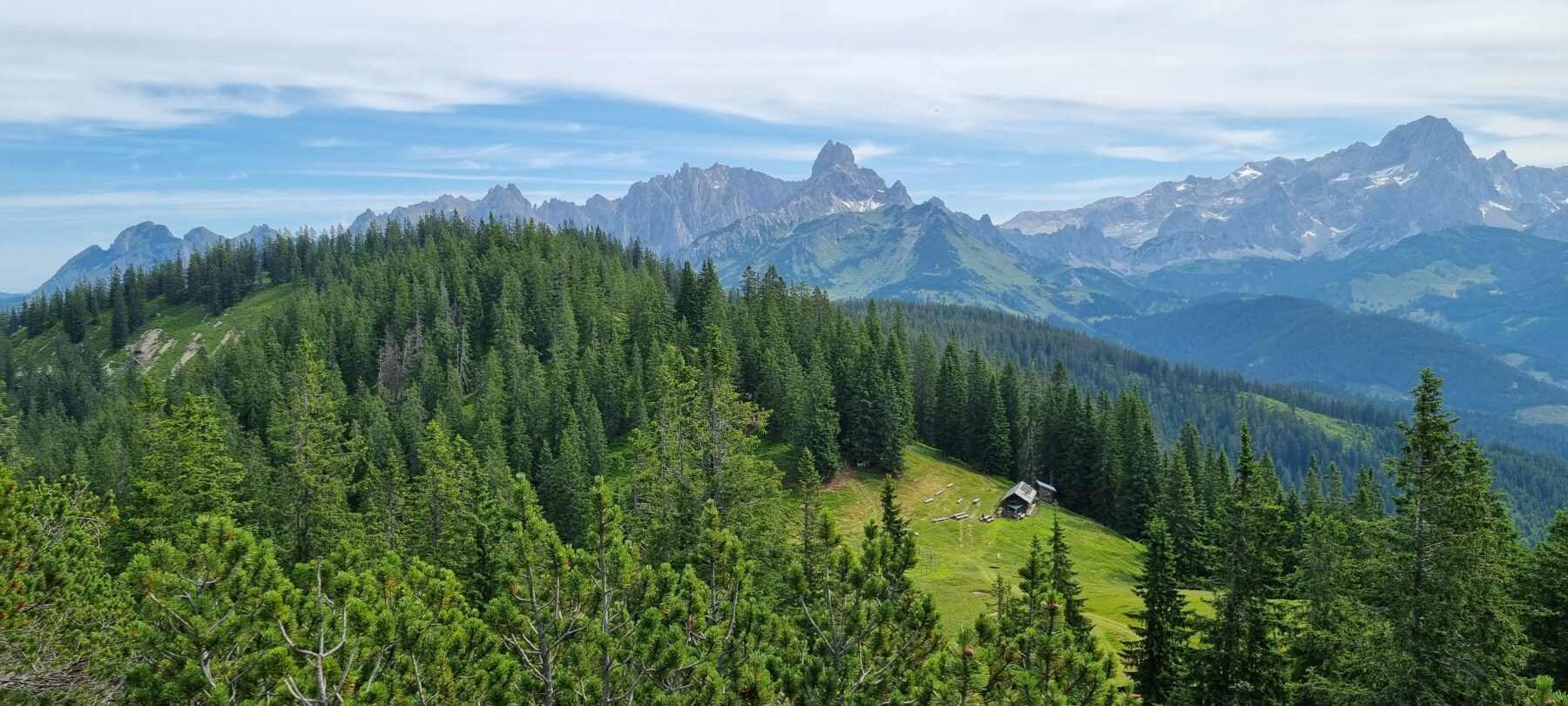 Almhütte en uitzicht in zomers Salzburgerland