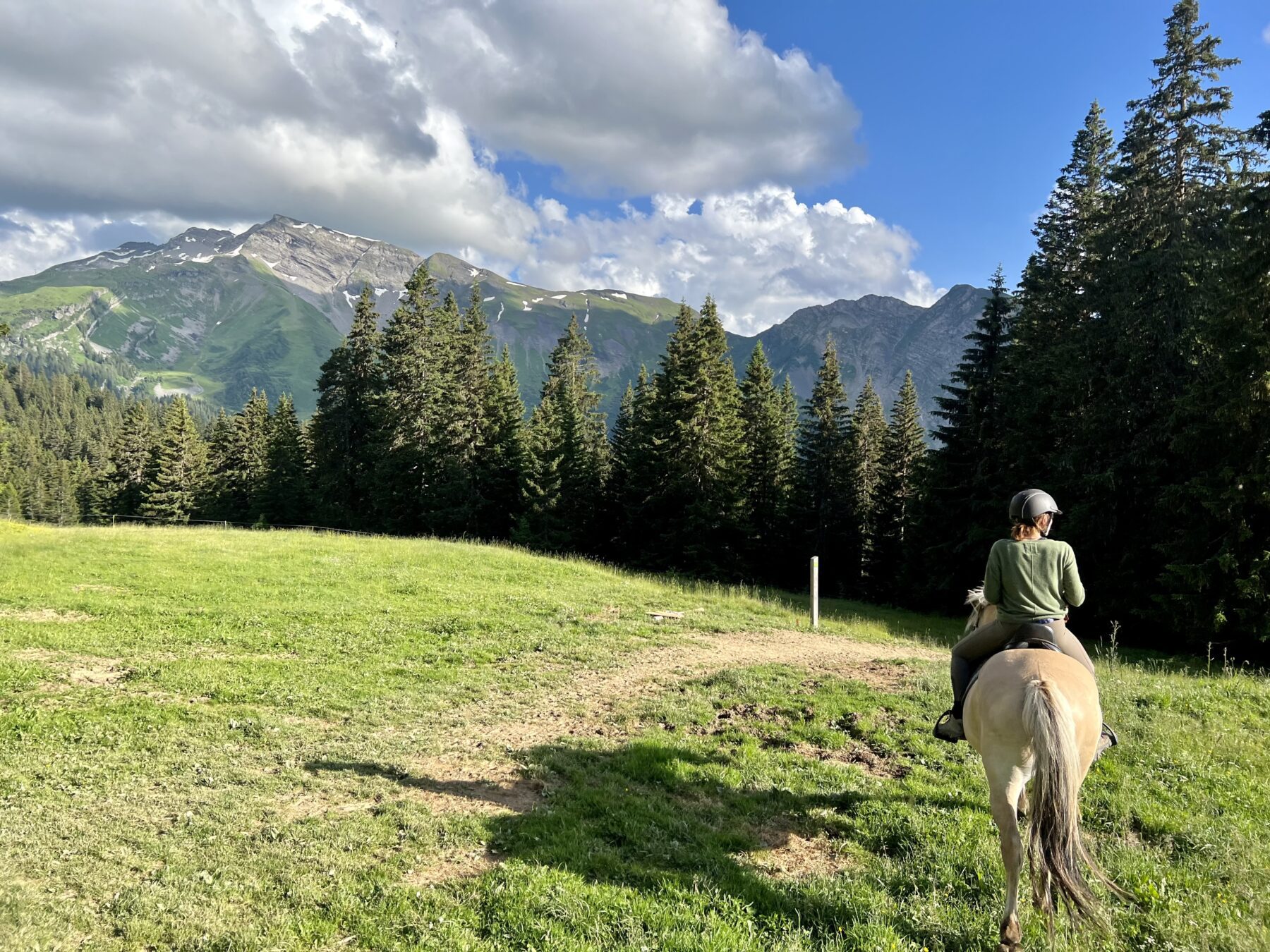 vrouw op een paard in de bergen