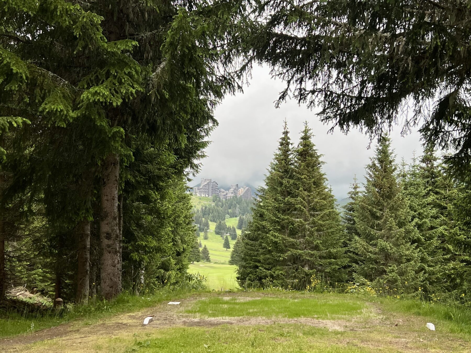 bomen en uitzicht op Avoriaz
